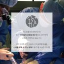 TLC 동물의료센터 이미지