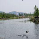 세천늪근린공원 이미지