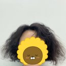 라니미용실