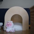 터 애견펜션 이미지