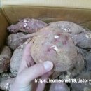 상마농장 이미지