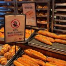 지하철역사 (중앙로역) | 대전 빵지순례의 핵심! 성심당 본점 방문 후기 이건 진짜 대전의 자부심