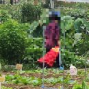 대범농장 이미지