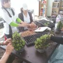 우들농장 이미지