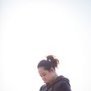 씨젤리피쉬 이미지