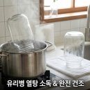 씨체널월배 E-마트 | 매실청 곰팡이 없이 담그는 법, 초보자가 놓치기 쉬운 5가지