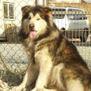 중앙동2가018 이미지