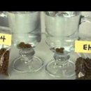 환의농장 이미지