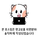 멍이냥이하우스 이미지