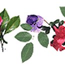 생연철물