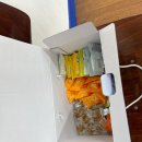 귀여운 강아지와 함께 하는 일상?! (부천에이스애견미용학원)