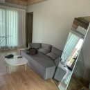 세화수목 이미지