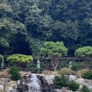 숲을 그리다 이미지