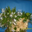 월곡3리 이미지