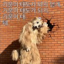 바다풍경카라반 이미지