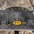 모락수원 티스토리