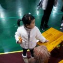 원숭이학교 자연사박물관 | 양재 원숭이 학교 체험전