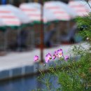 가산낚시터 이미지