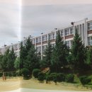 상업용15 | 김제상업고등학교(김제)16회