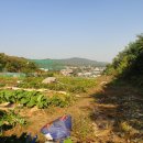 채수농장 이미지