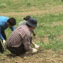 고운리농장 이미지