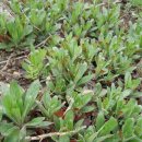 동두천역 이미지