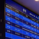 안산세관 | W. 대마도 당일치기 퀵턴(부쉐론 웨딩밴드 면세, 관세자진신고 감면 방법)