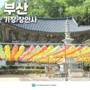 제일민박 이미지