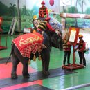 점보빌리지 이미지