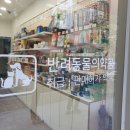 여의도동물약국 이미지