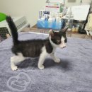 한길동물병원 이미지