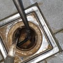 해평식당 이미지