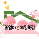 울엄마손메밀묵집 이미지