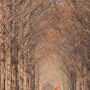 큰맘할매순대국 영월남면점 이미지