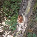 심방마을 이미지