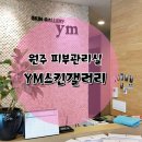 YM스킨갤러리