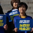 도매농수산물