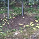 기호보건진료소 이미지