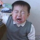 스테이북향