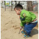 주상초등학교 이미지