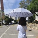 라이즈원 | 내돈내산 라이즈원 장우산 후기! 강풍에도 끄떡없는 49개 프레임의 튼튼함에 반했어요 ☔️