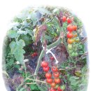 어답산민박 이미지