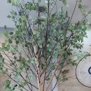 밝은연세안과의원 이미지