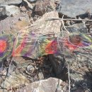 보미저수지 이미지