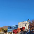 레드브릿지 | 파주 마장호수 출렁다리 근처 카페, 레드브릿지 모닝세트 후기