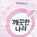 깨끗한나라 | 깨끗한나라 벚꽃 로맨틱 화장지 사용 후기