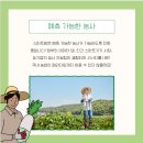 그린파이브 이미지