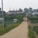 성진농원민박 이미지