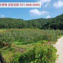 금곡3리 마을회관 이미지