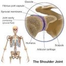 가좌연세정형외과의원 이미지